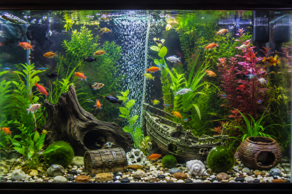 Beautiful Aquarium with Colorful Fish and Sunken Ship